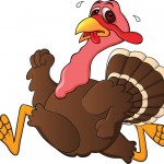 Turkey - Thanksgiving